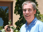 viticulture